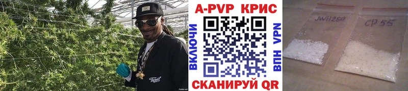 как найти закладки  Сунжа  Alfa_PVP Crystall 