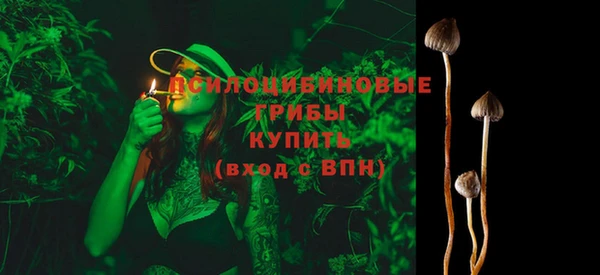 спиды Алексин