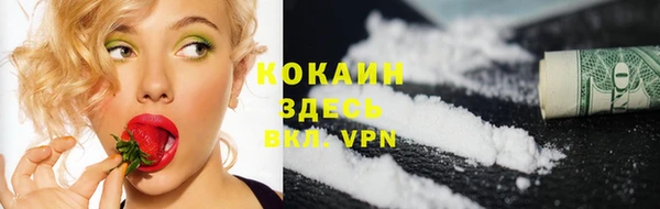 индика Беслан