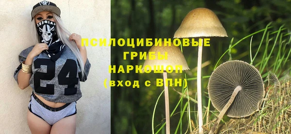 соль курить ск Алексеевка
