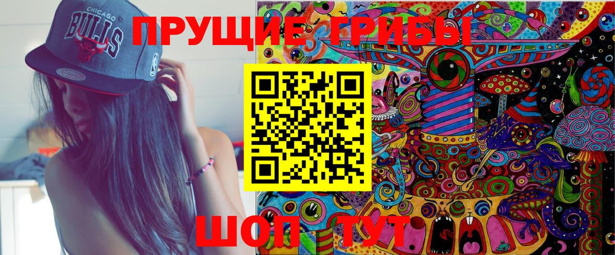 Сунжа  Псилоцибиновые грибы MAGIC MUSHROOMS  Вход с VPN 