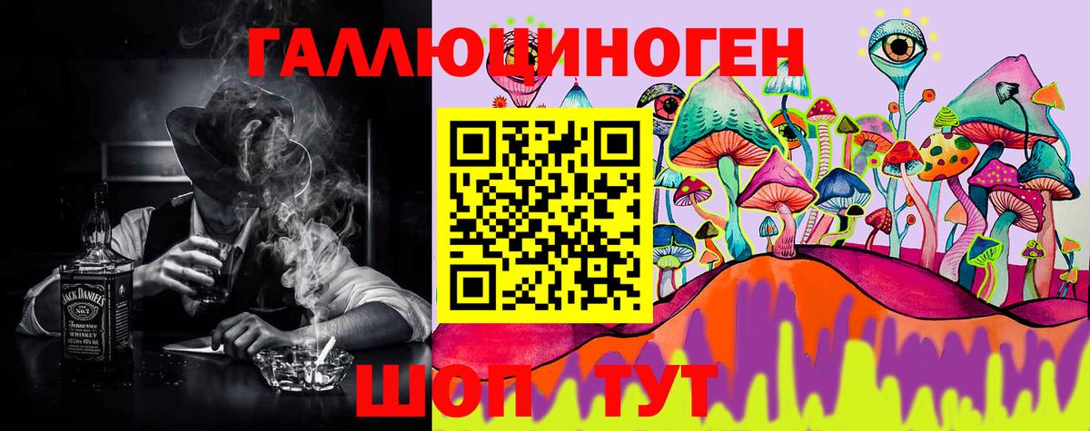 Галлюциногенные грибы Psilocybine cubensis Сунжа