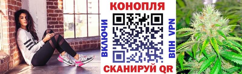 Шишки марихуана индика  Сунжа 